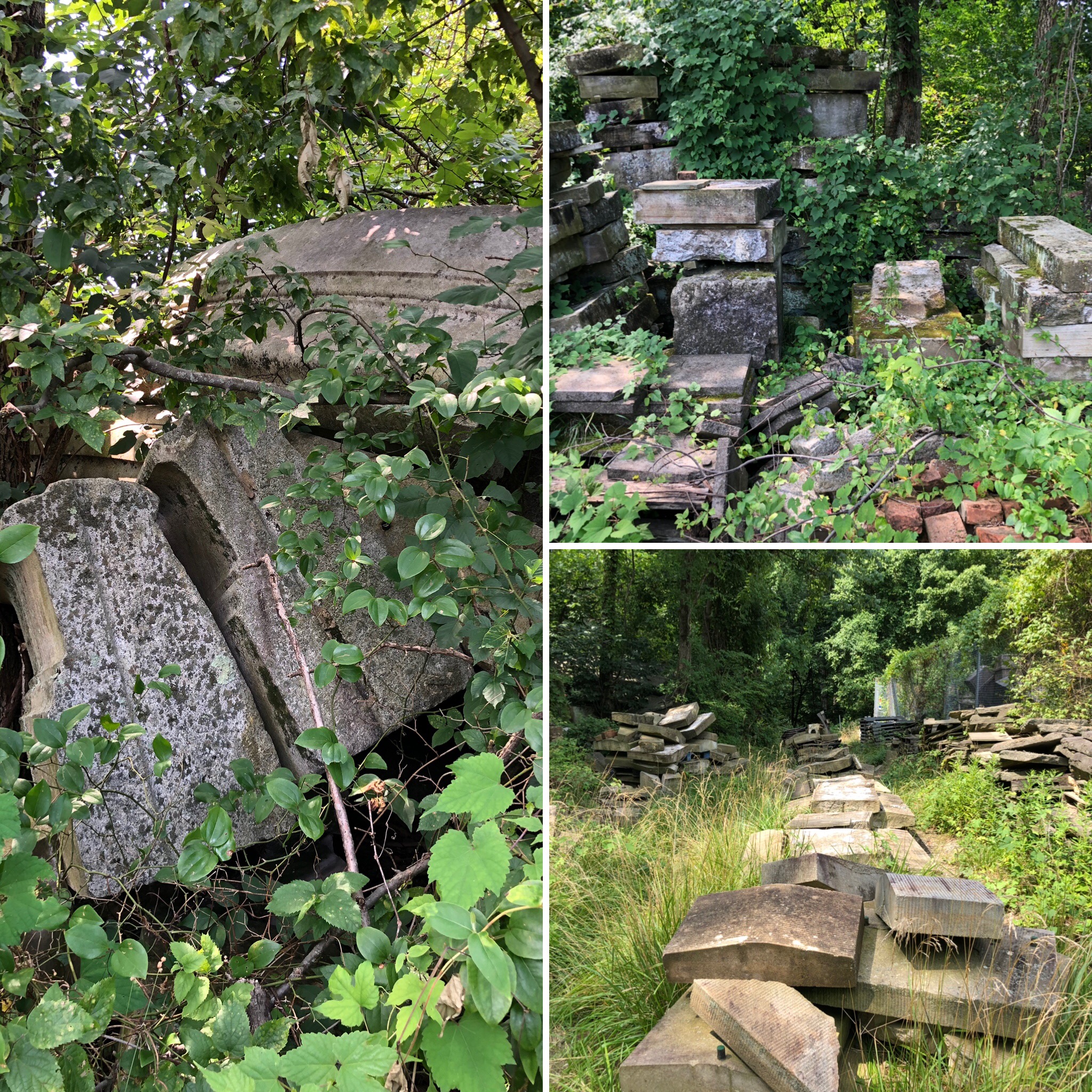 Capitol Stones in DC's Rock Creek Park removed from government buildings in the 1950s to this wet shaded spot where they are cleaner than buildings across the city repeatedly cleaned since.